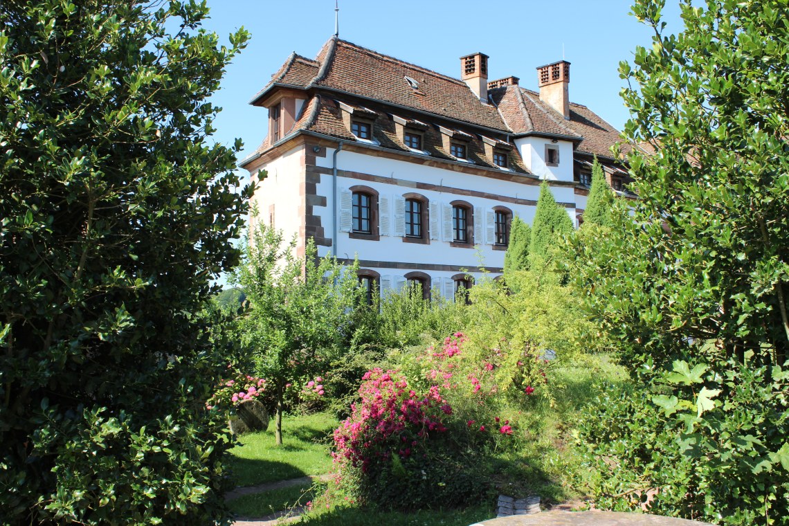 Bild 15